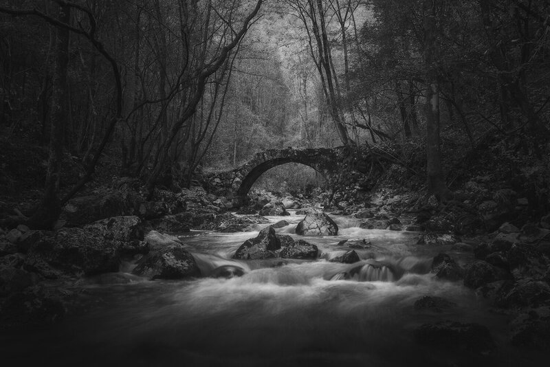 The Passage фото превью