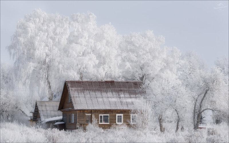 псковская область, печерский район, зима, крещение Зимно .. фото превью