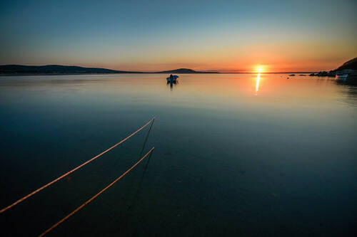 Golden Silence