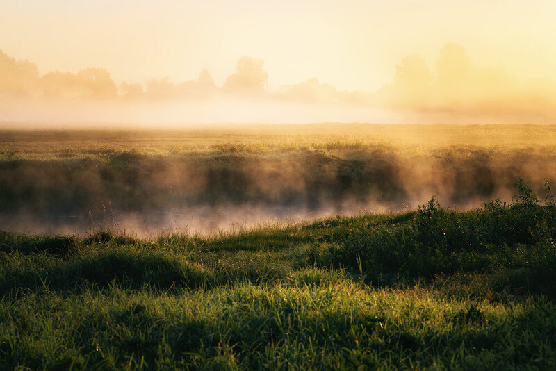 пейзаж, природа, туман, утро, nature, landscape, fog, morning, sunrise, рассвет Туманное утро фото превью