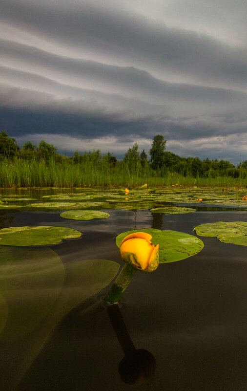 Грозовой фронт. Мобилофото. фото превью