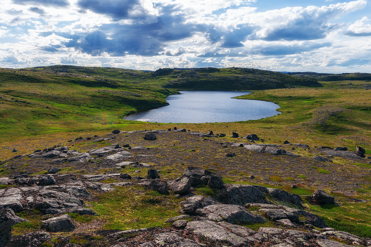 русский север, север, пейзаж, прирожа, тундра, заполярье, russian north, north, tundra, landscape, nature, Волкова Анна