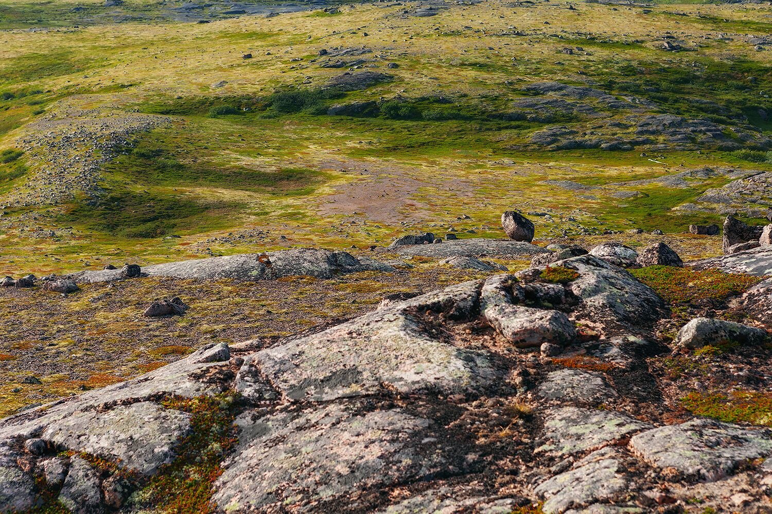 tundra, north, russian north, stones, moss, nature, landscape, пейзаж, природа, русский север, заполярье, тундра, север, Волкова Анна