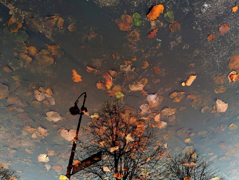 .  фото превью