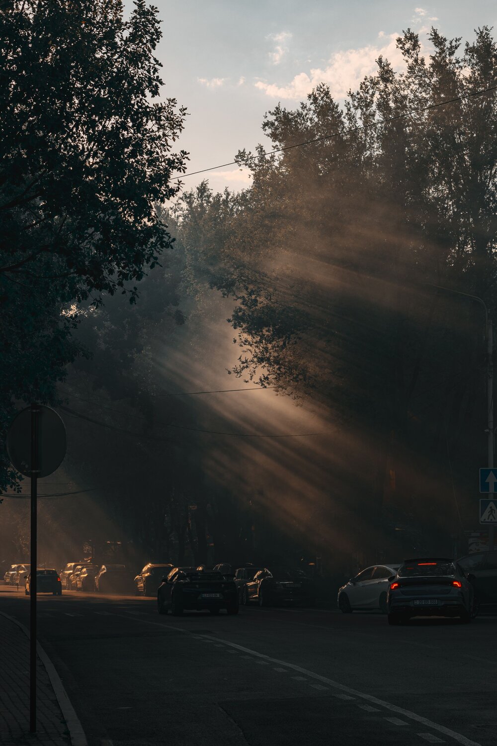 , Vladimir Kostyria