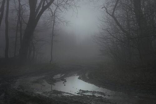 Туманное утро
