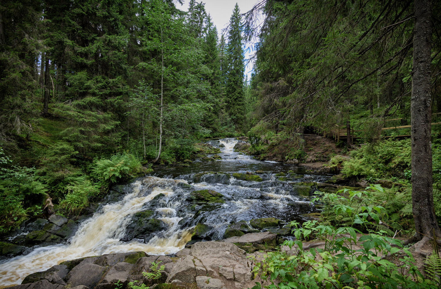 карелия., долина, водопадов., лето., Тихонов Дмитрий