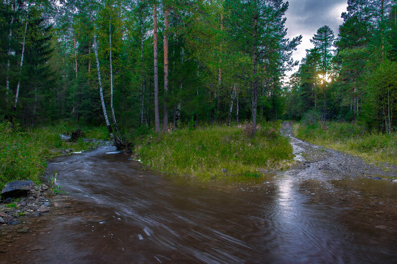 После дождя фото превью