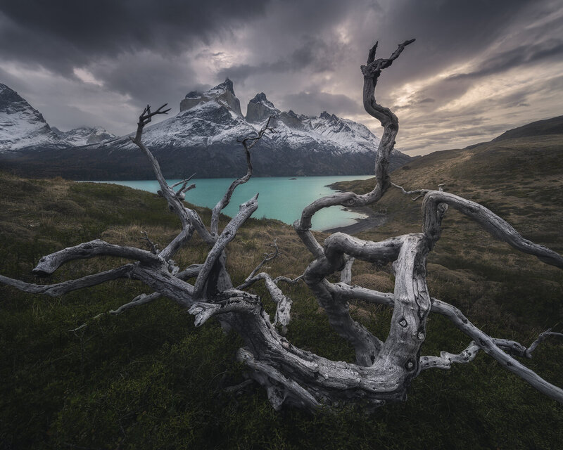 Torres del Paine, Chile фото превью