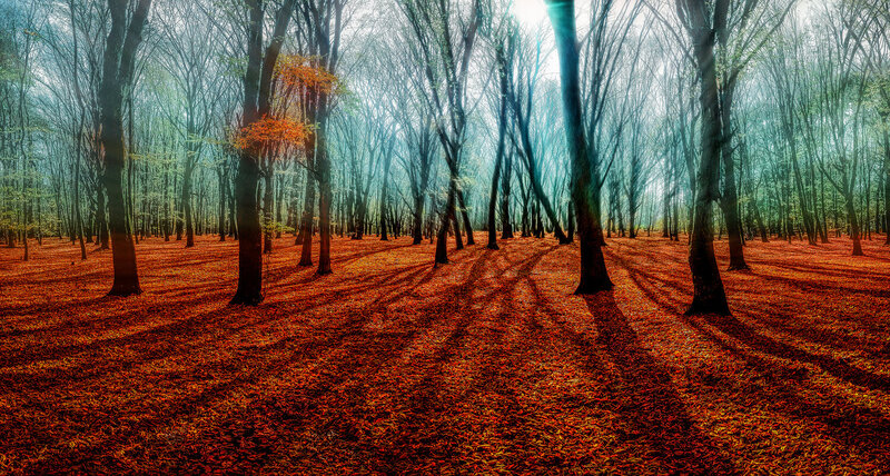 Crimson Glade фото превью
