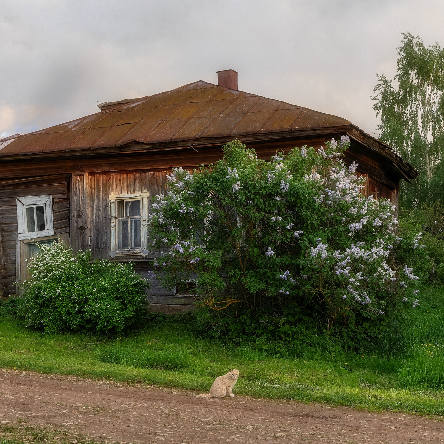 , Михаил Загрядский