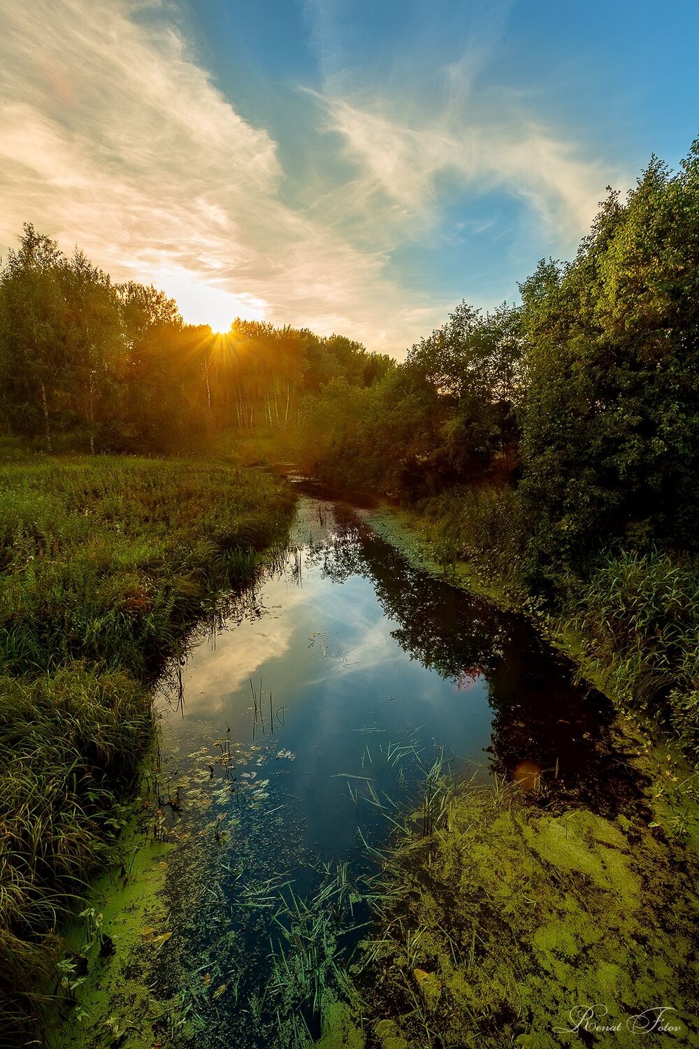 , Renat Fotov