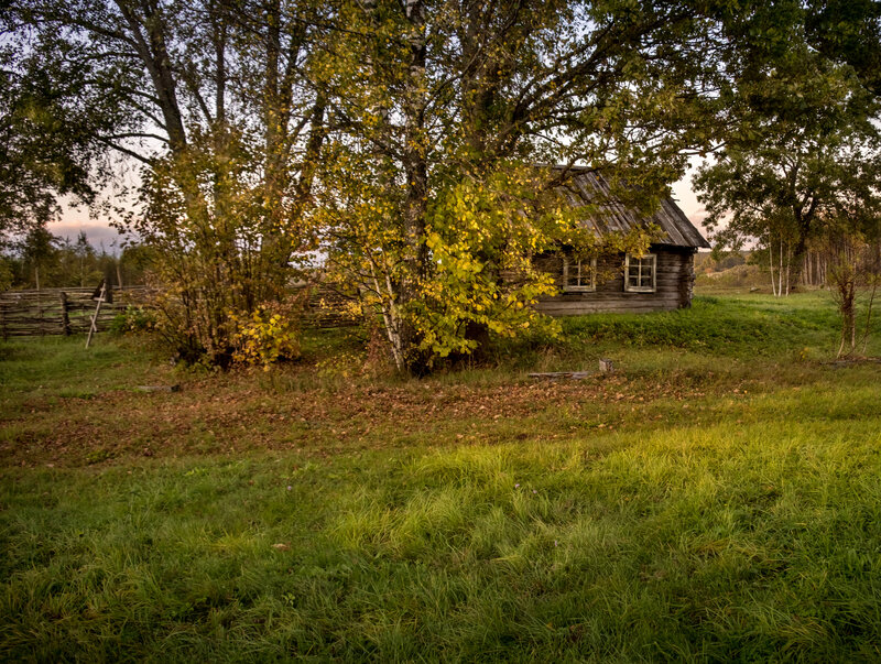 что такое осень?, нд, деревенский пейзаж, autumn, пейзаж, осень Вот и лето прошло... фото превью