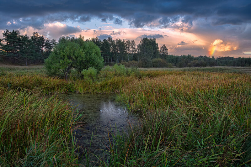 ** фото превью