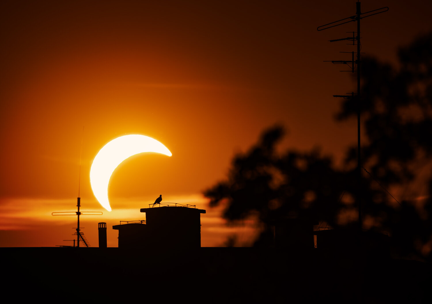 solareclipse, sunset, city, Wojciech Grzanka