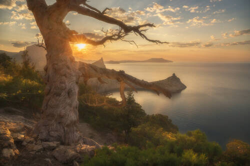 В первых лучах света
