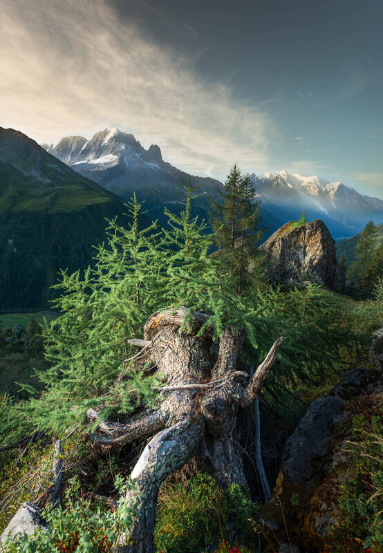 Korzenie!Chamonix-Le Tour! фото превью