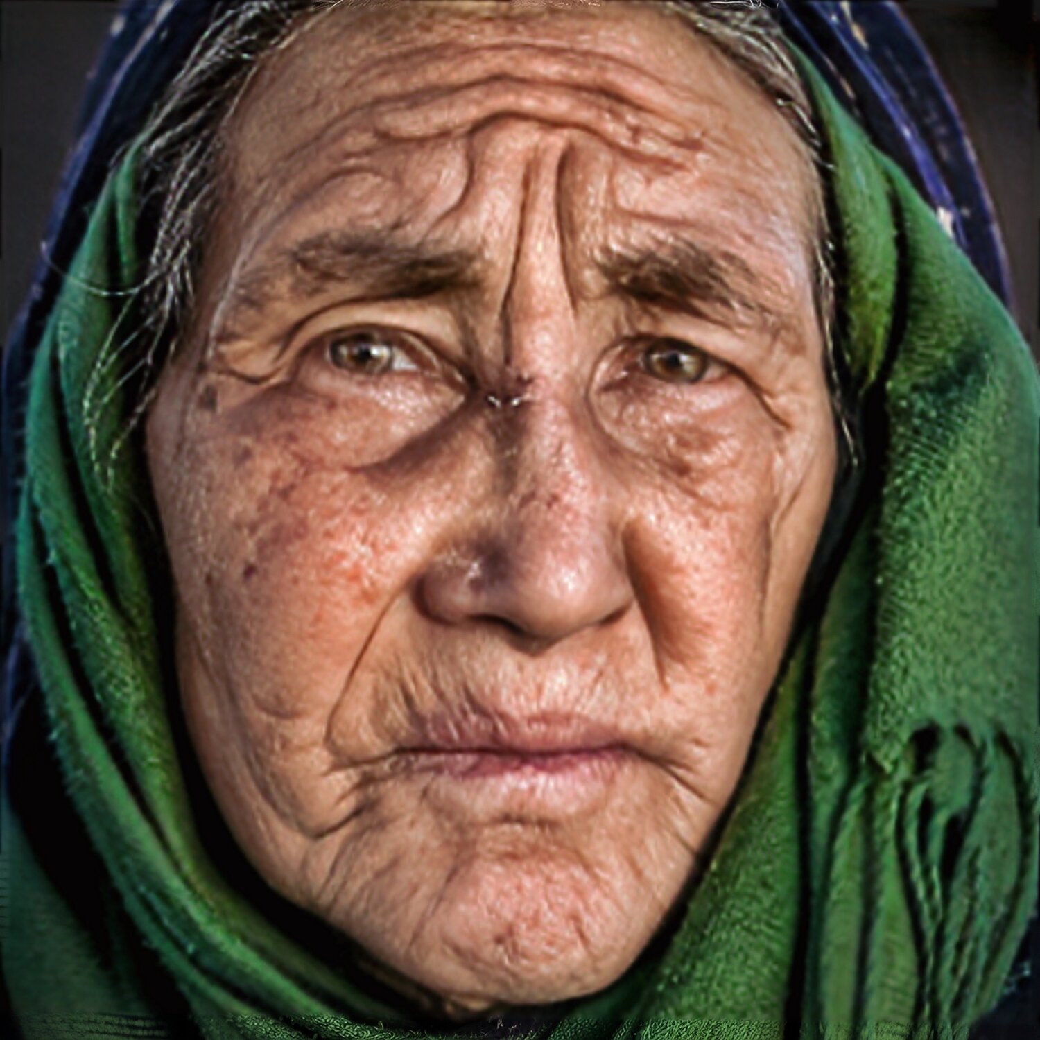 , mehdi shirvani