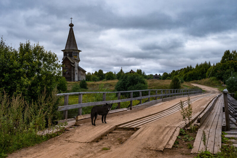 Прощальный взгляд фото превью