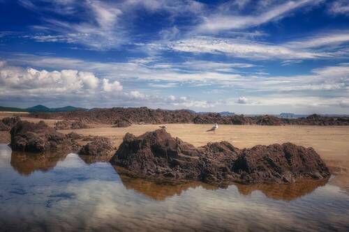 Coast of the heatwave