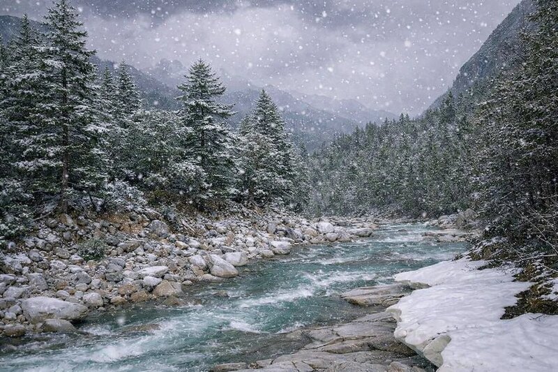Средний Сакукан фото превью