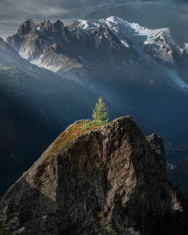 Samotnosc!Chamonix-Le Tour фото превью