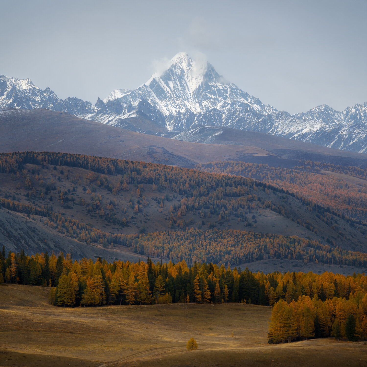 горы, лес, осень, алтай, Растворов Игорь