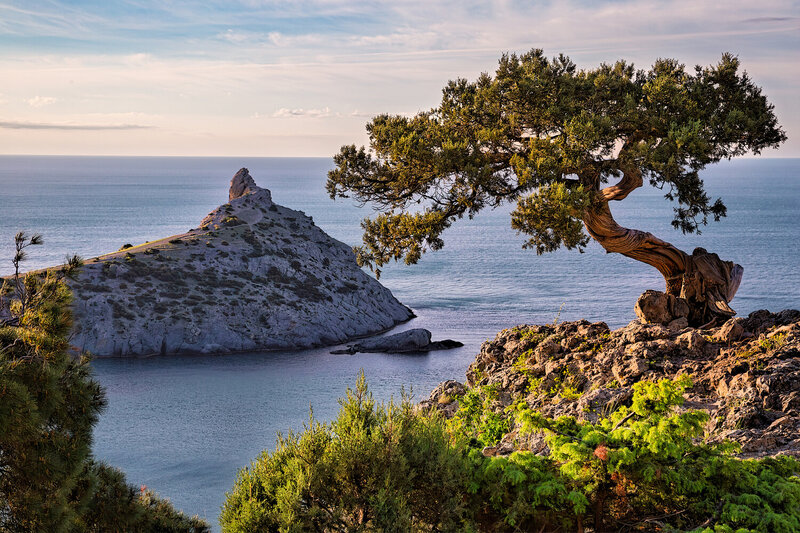 * фото превью
