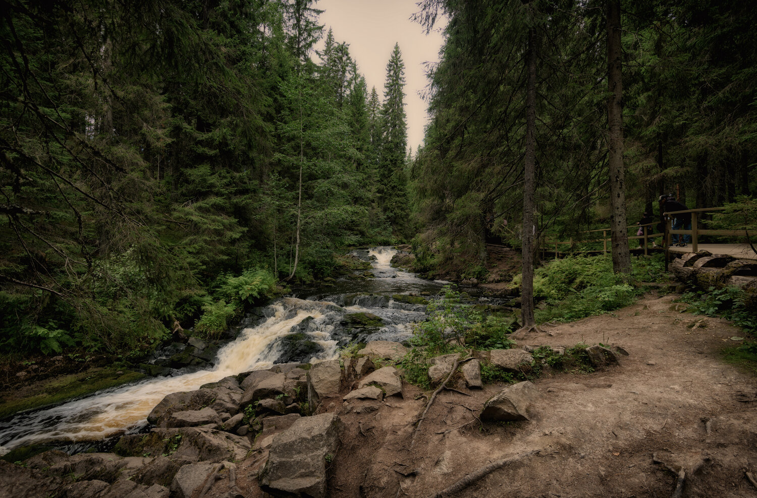 карелия., лес., долина, водопадов., Тихонов Дмитрий