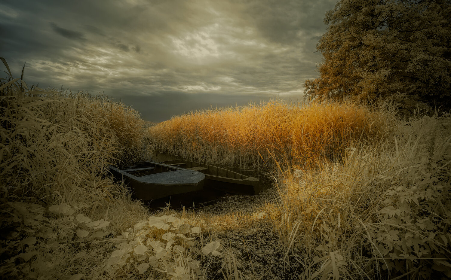 infrared, инфракрасная фотография, инфракрасное фото, пейзаж, лето, беларусь,  Sixten (Сергей)