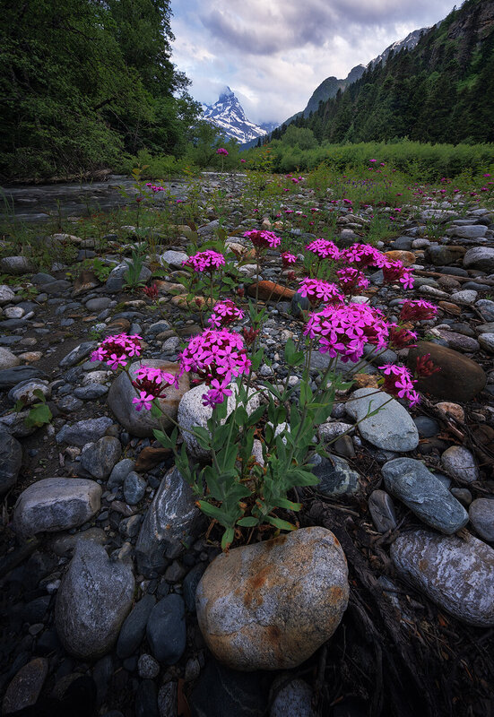 Домбай фото превью