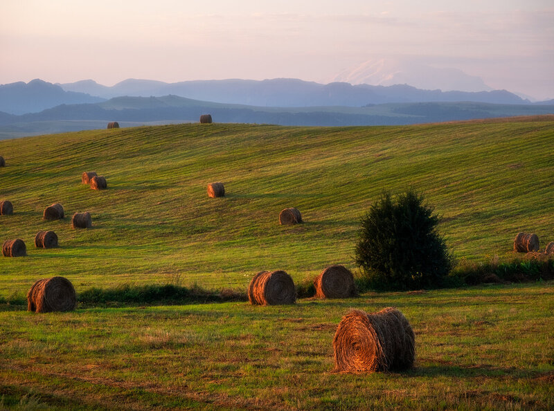#ProCaucasus фото превью