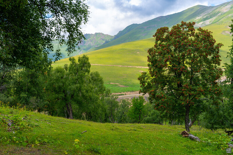 архыз, кчр за перевалом Пхия фото превью