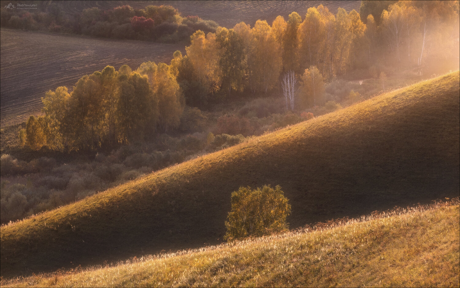 алтай, алтайский край, фототур на алтай, осенний фототур на алтай, бабье лето, алтайское холмогорье, фототуры 2026, фотопутешествия по россии, Влад Соколовский