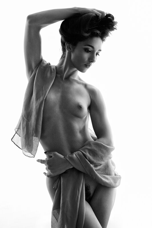 silhouette, monochrome, black, white, minimalist, figure, shadow, form, body, artistic, nude, profile, contrast, light, curve Silhouette Study (Mischkah 20) фото превью
