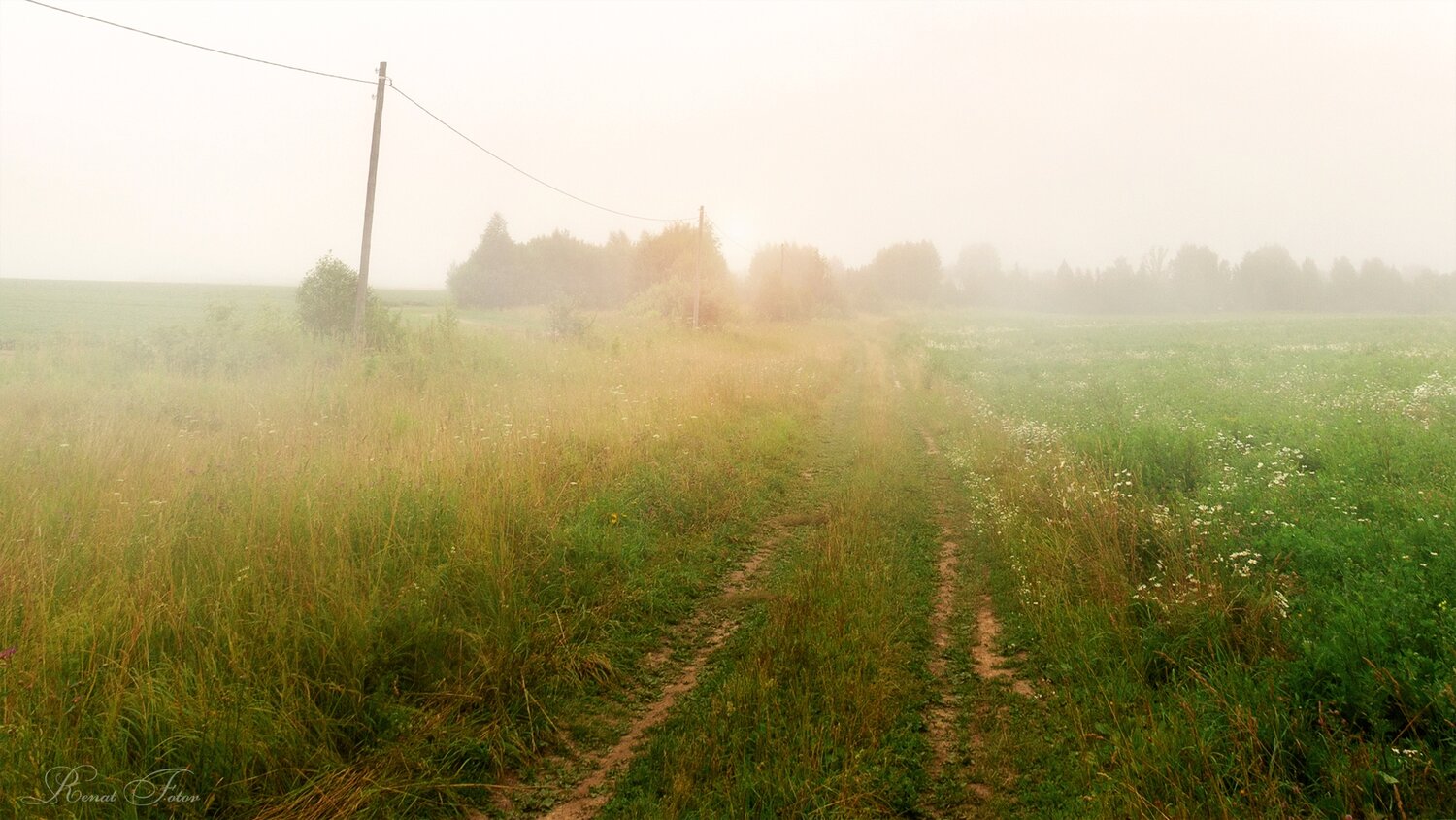 , Renat Fotov