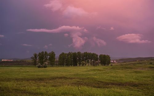 nature