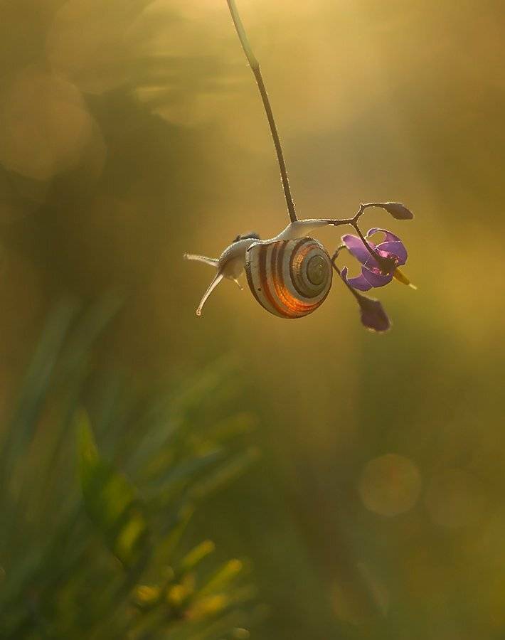 , Pawel Plucinski