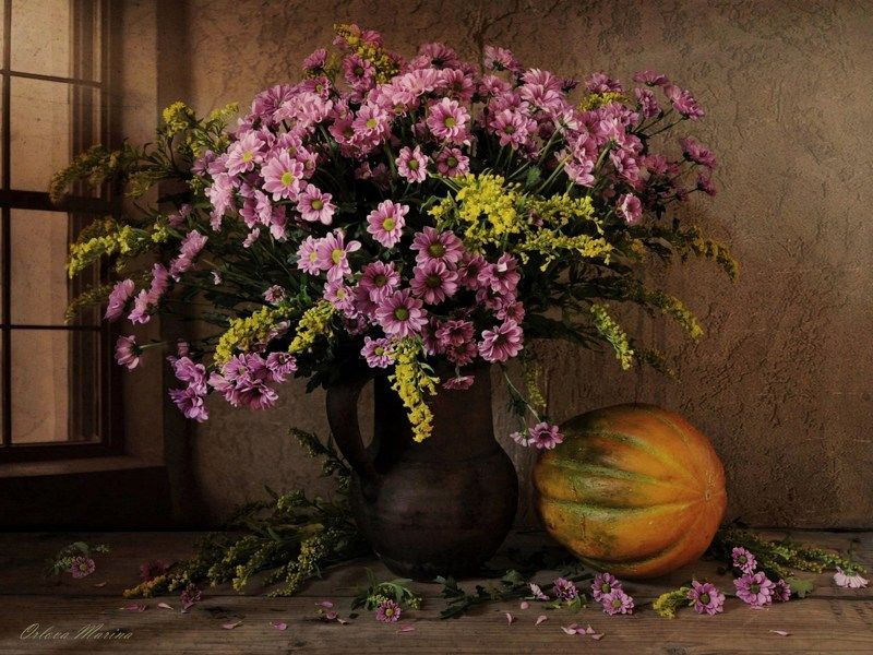 Август фото превью