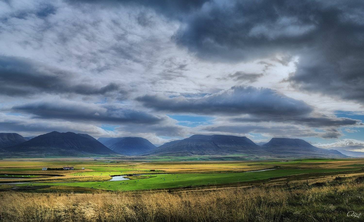 , Александр Кудинов