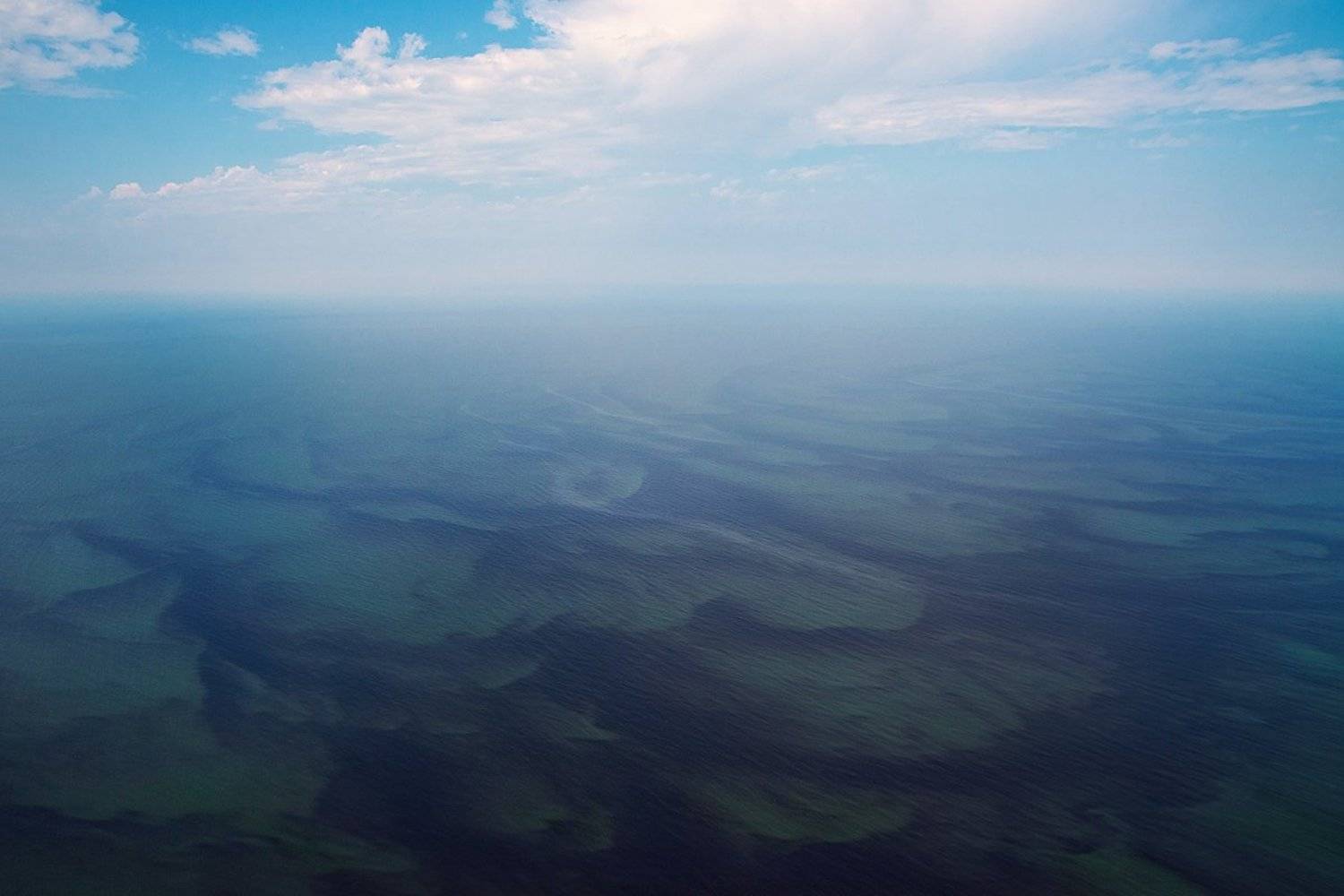 , Сидоренко Алексей