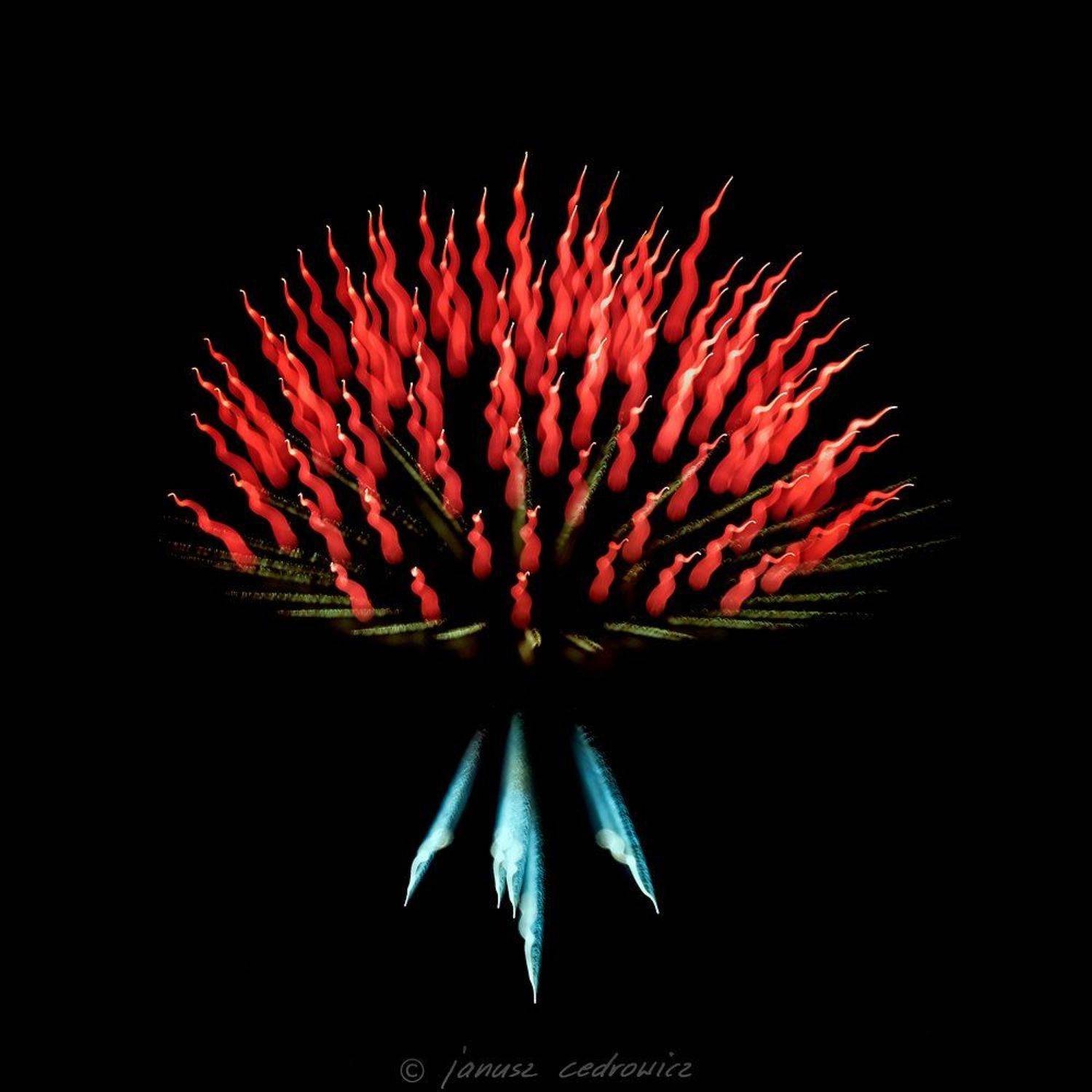 Abstract, Art, Color, Colorful, Colors, Explosion, Fireworks, Light, Lights, Night, Janusz Cedrowicz