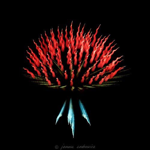 fireworxx