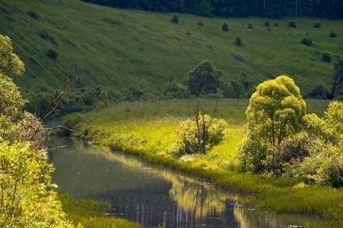 Pro красоты летних лугов Подмосковья...