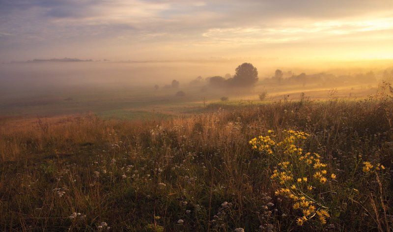 Золотой Август... фото превью