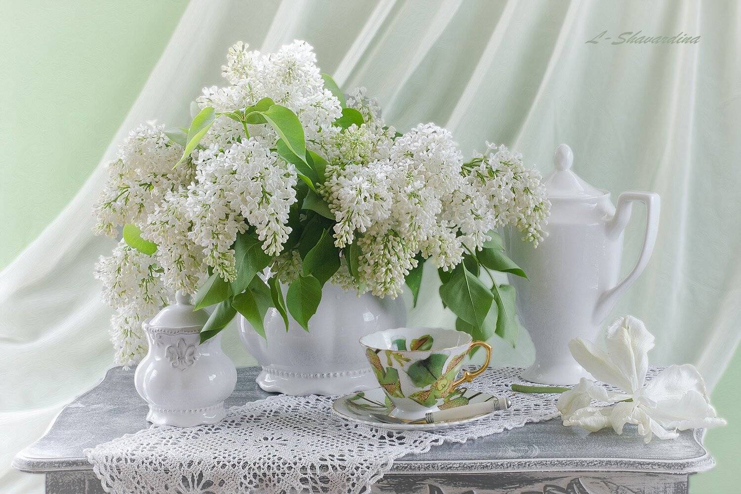 , Елизавета Шавардина