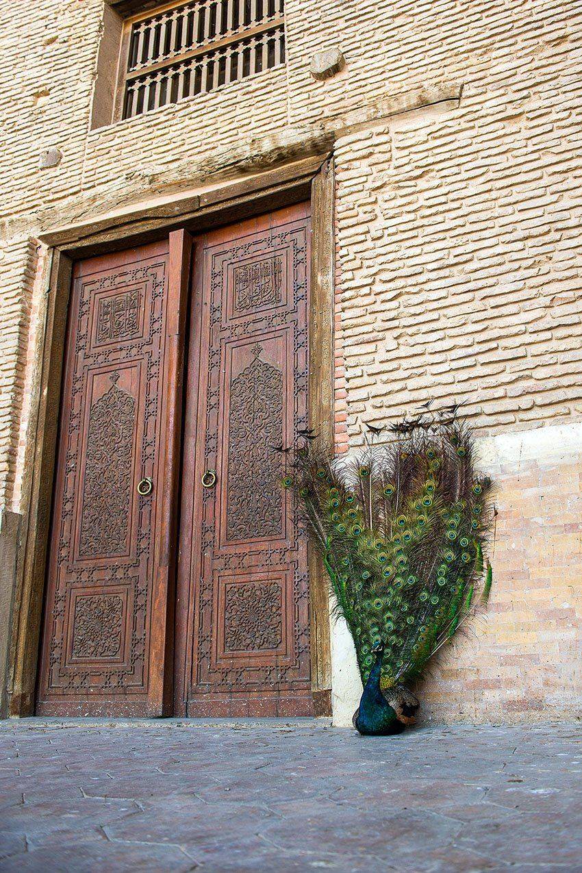 Павлин, Наиля Гарифуллина