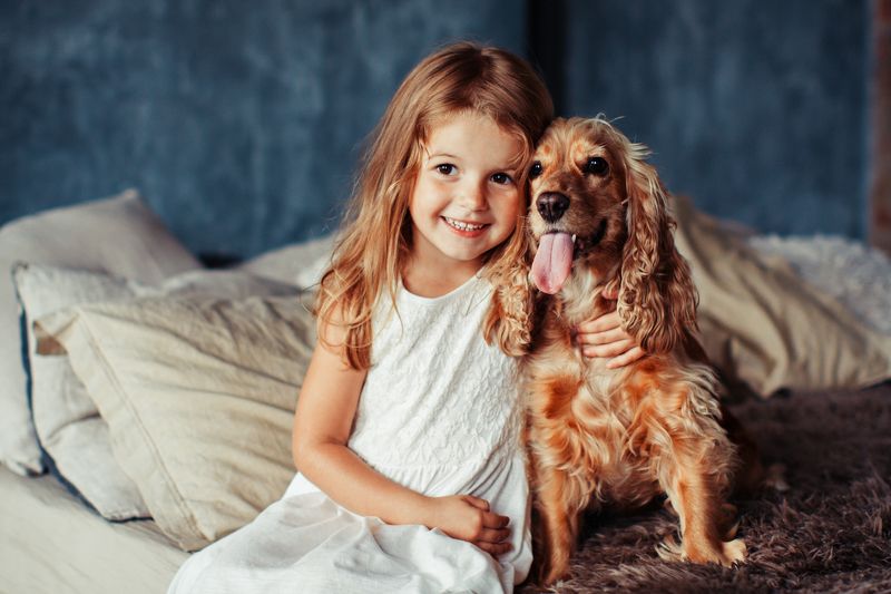 Мой рыжий друг фото превью