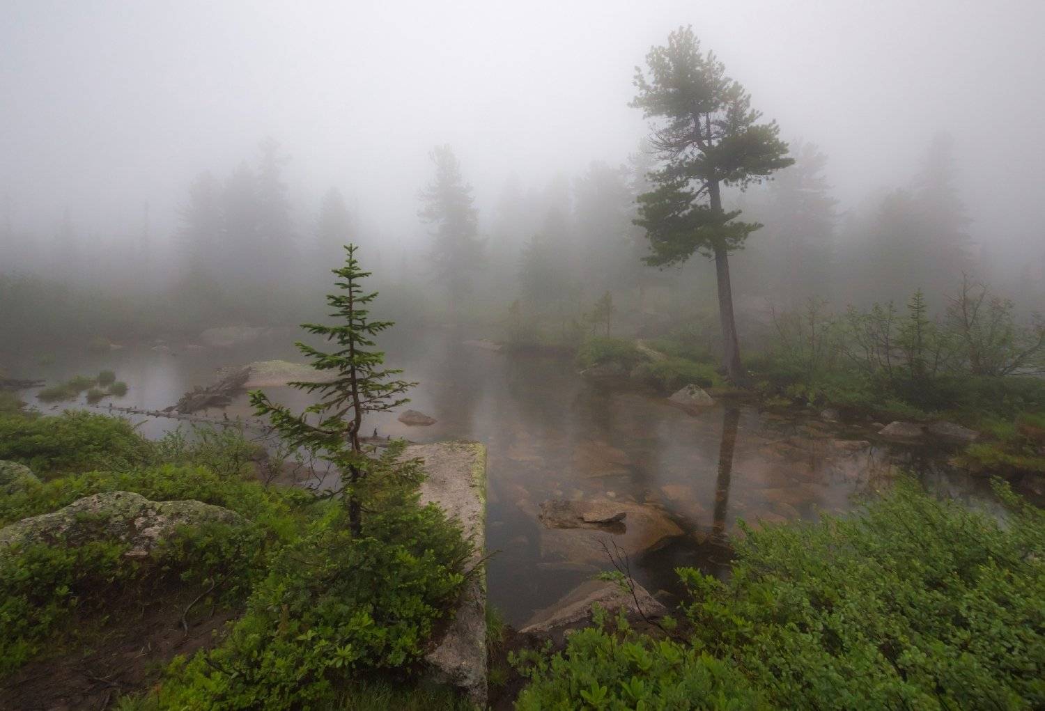 Туман, Ергаки, Саяны, Западный Саян, тайга, Виктор Зайцев