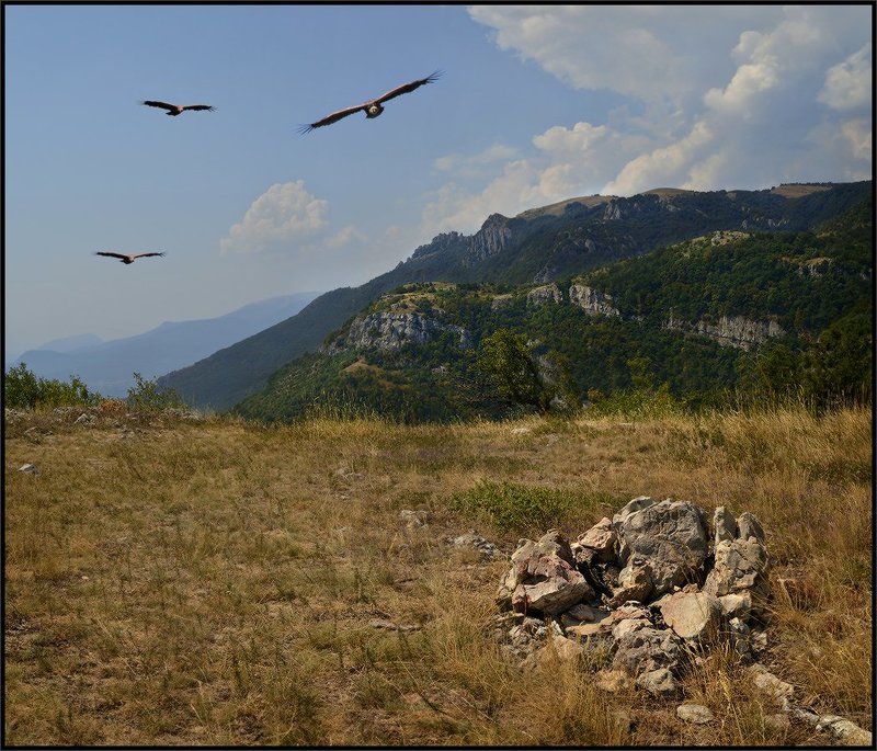 Сделаю подарок фотографу и догоню вас ... фото превью
